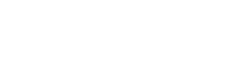 logo-wordpress-digno-design-trafego-pago.png